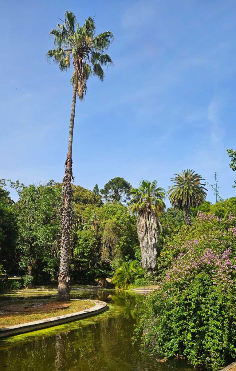 botanical garden Lisbon Belem
