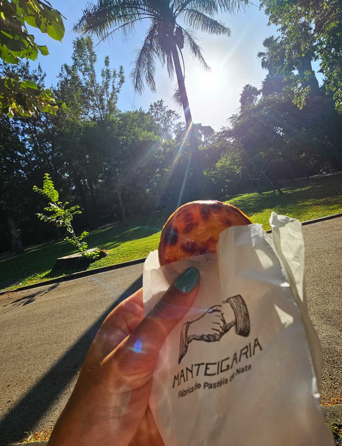 botanical garden belem lisboa pasteis de nata Fabrica de nata