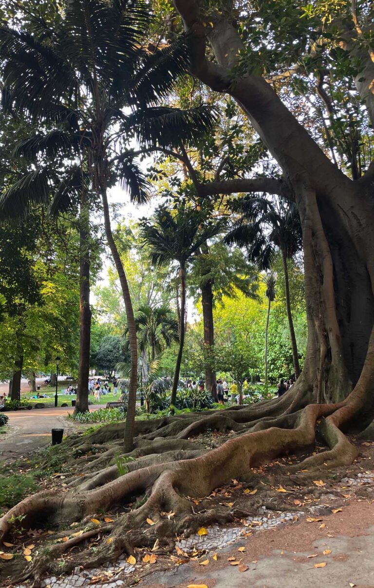 jardim estrela