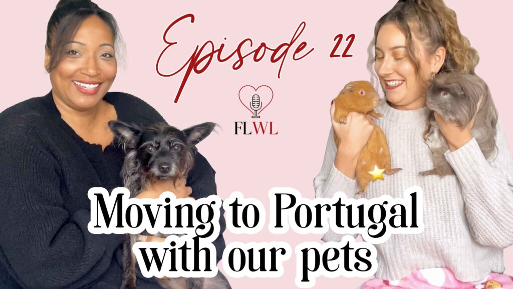 moving abroad with pets | how to move pets abroad | moving to portugal with pets