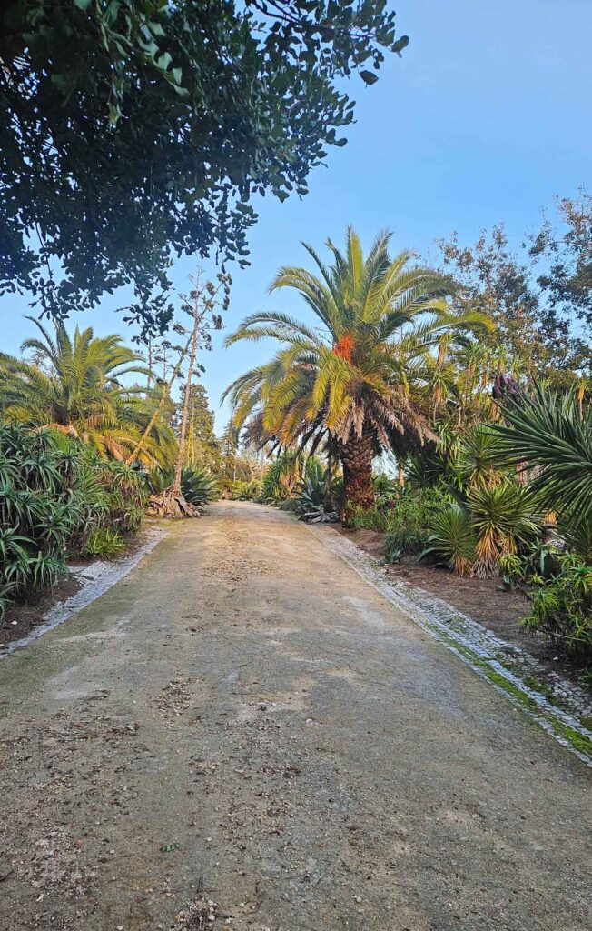 the best parks in lisbon