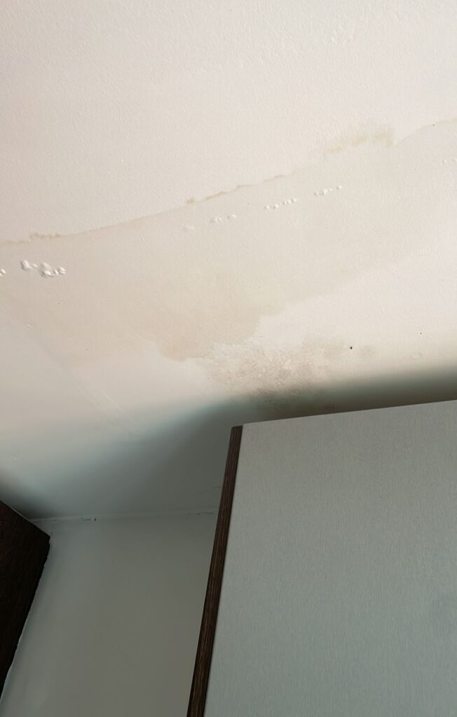 mold on ceiling in apartment | mold in portugal | how to remove mold in apartment 